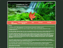 Tablet Screenshot of carefulminds.com